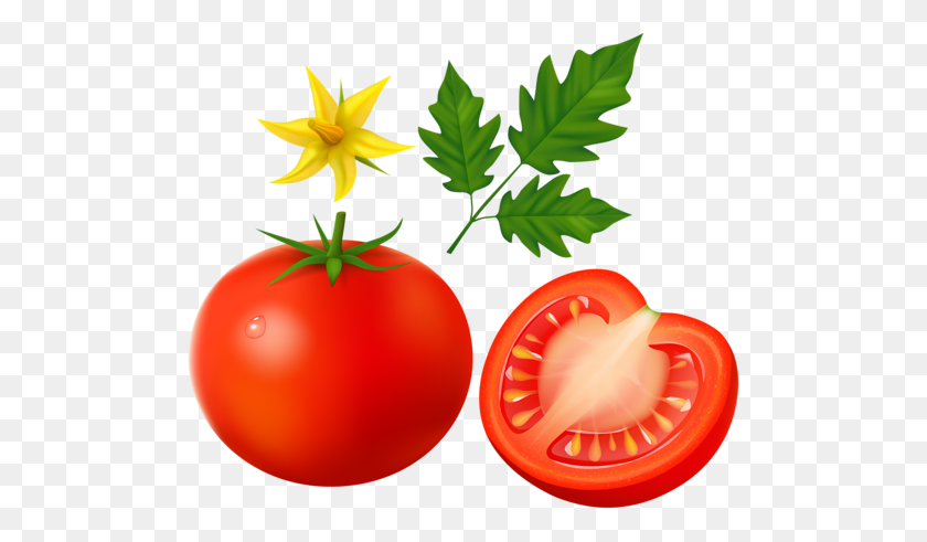 500x431 Cherry Tomato Clipart Long - Cherry Tomato Clipart