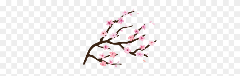 260x206 Cherry Tree Clipart - Sakura Flower Clipart