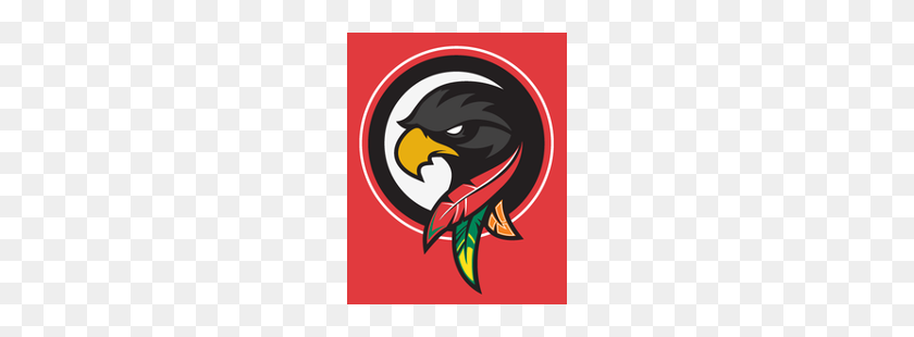 250x250 Chicago Blackhawks Concept Logo Sports Logo History - Chicago Blackhawks Clipart