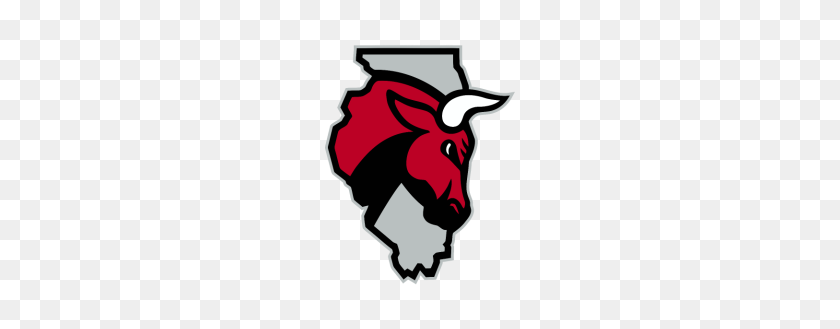190x269 Chicago Bulls - Logotipo De Los Chicago Bulls Png