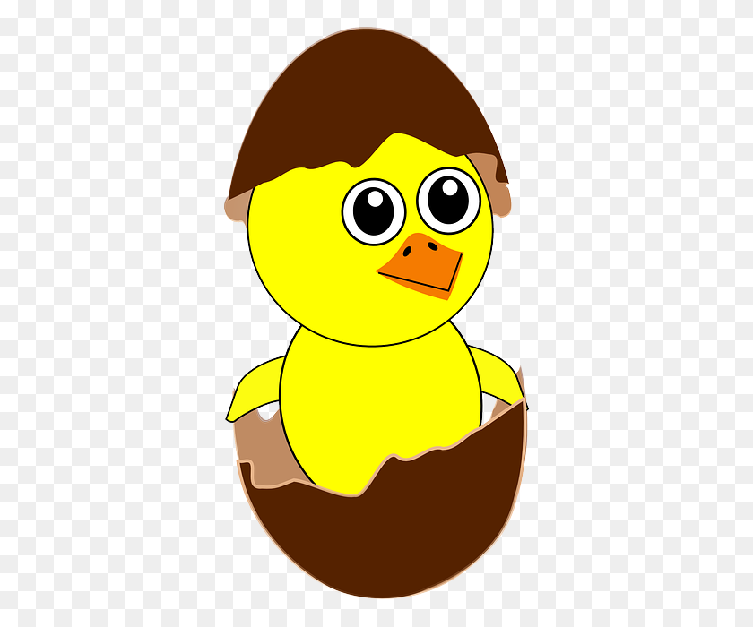 340x640 Chick, Egg, Hatching, Birth, Broken, Shell, Open Clipart Idea - Shell Clipart
