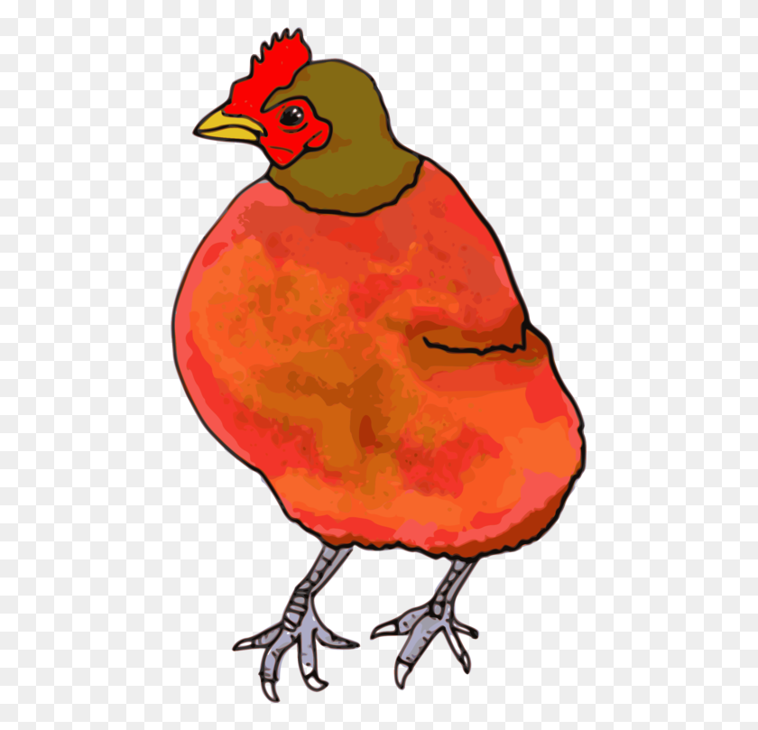 461x749 Цыпленок В Пищу Красный Петух Курица - Курятник Клипарт
