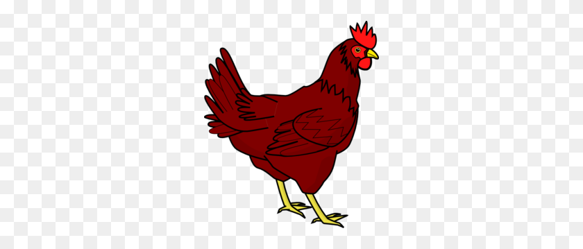252x299 Chicken Clipart Rhode Island Red - Chicken Head Clipart