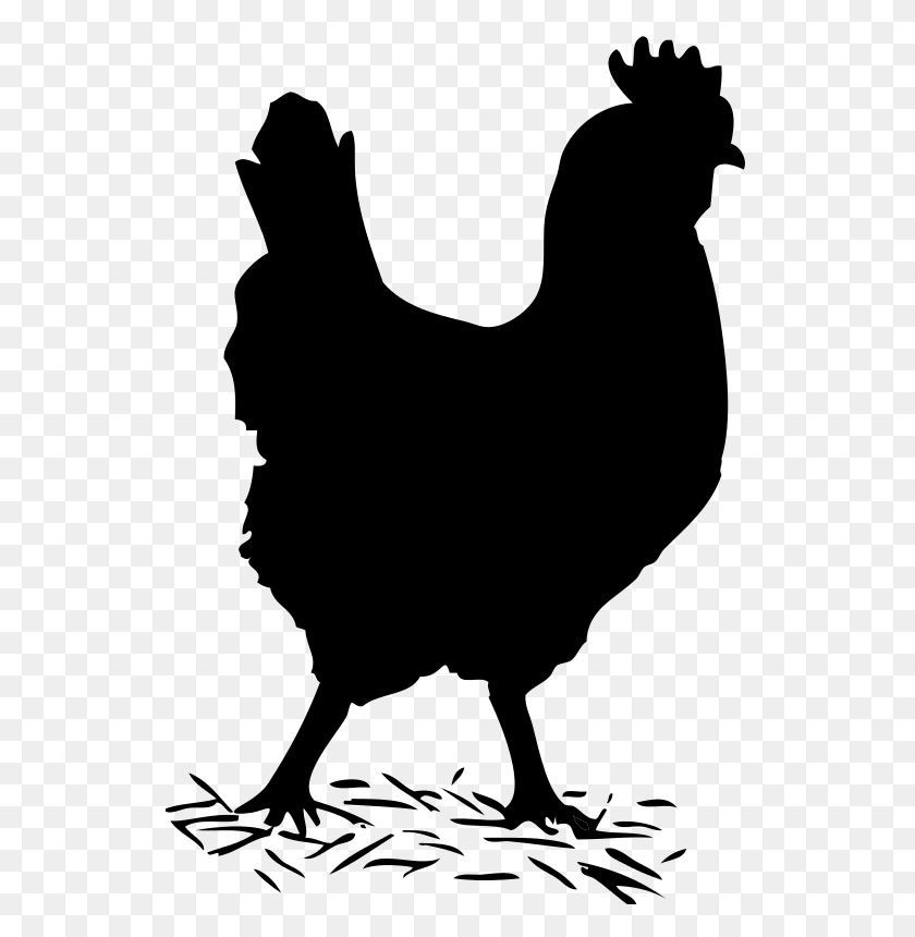 Silhouette Transparent Chicken Clipart - Pngtree provides millions of free png, vectors, clipart