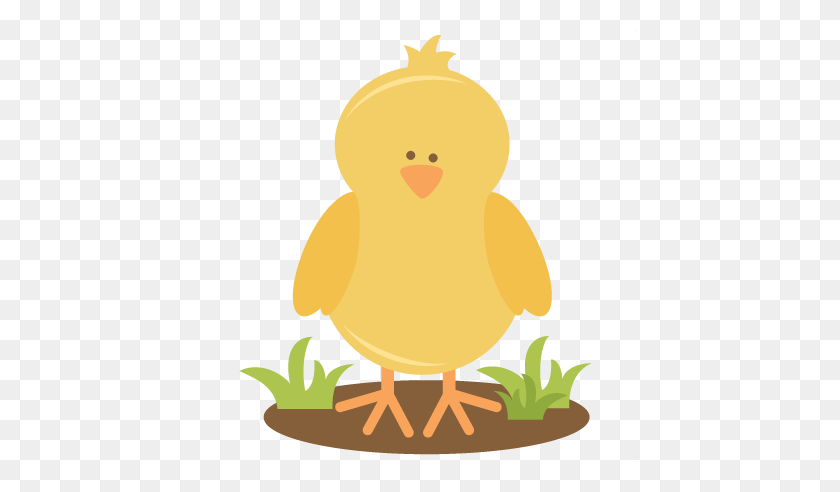 432x432 Chicken Clipart Spring Chick - Spring Animals Clipart