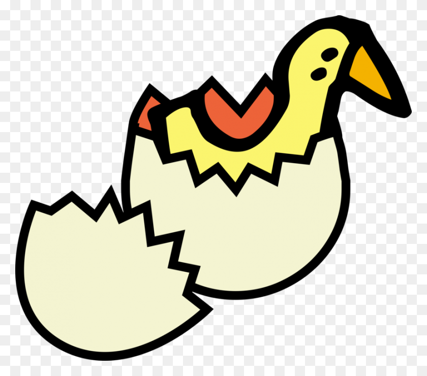 860x750 Яичная Скорлупа С Куриным Яйцом, Жареное Яйцо - Egg Carton Clipart