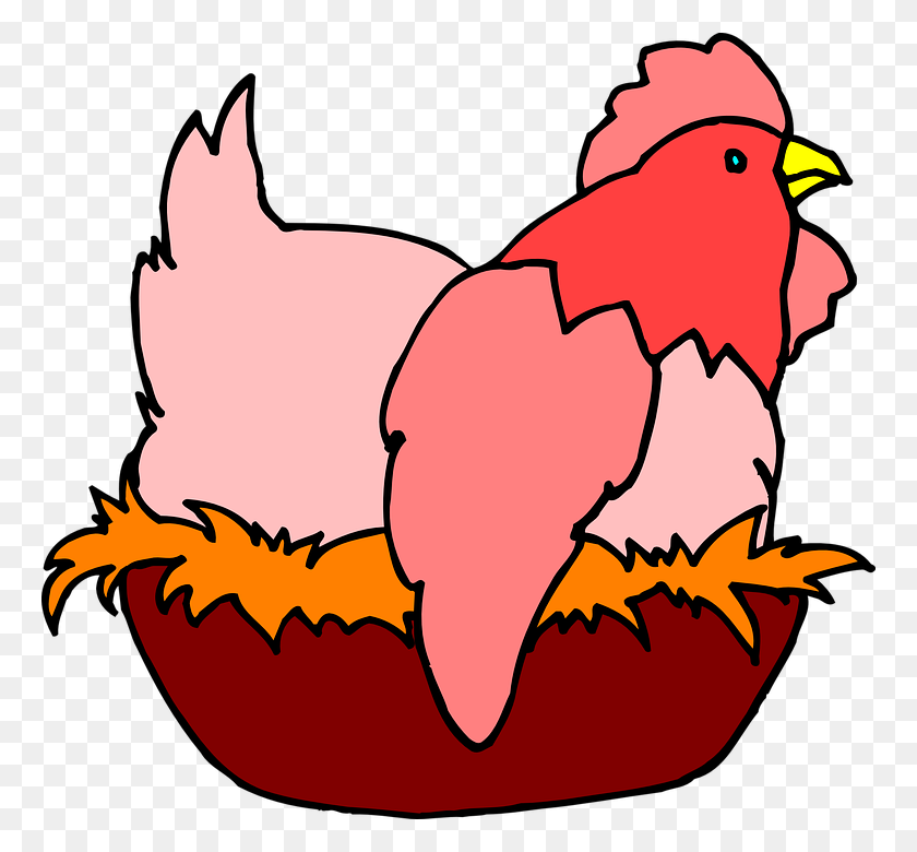 764x720 Куриные Куриные Яйца Несушки Несушек Птицы Фермы Животных - Гнездо Png