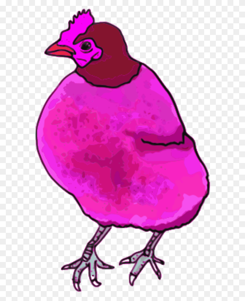 600x974 Chicken Hen Vector Clip Art Image - Poultry Clipart