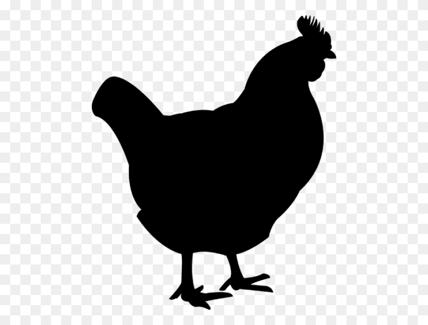 480x579 Chicken Png - Chicken PNG