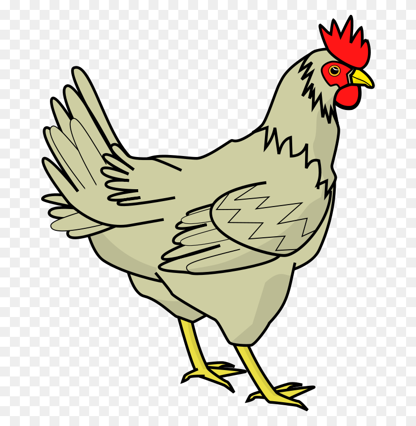 674x800 Pollo Png