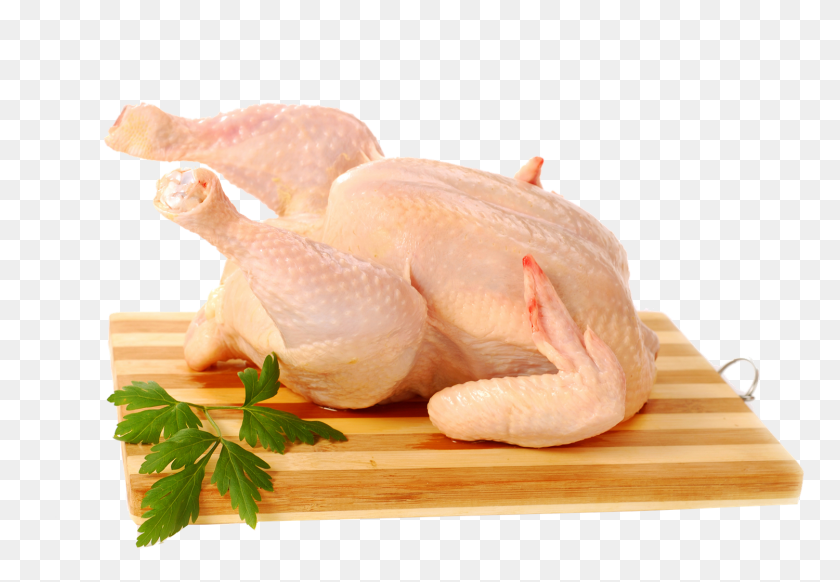 1500x1004 Pollo Png