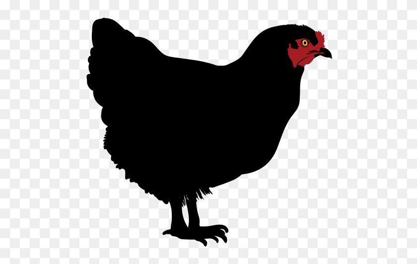 516x472 Chicken Silhouette - Chicken Clipart PNG