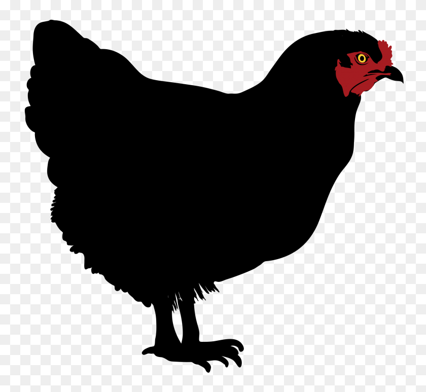 2000x1829 Chicken Silhouette - Chickens PNG