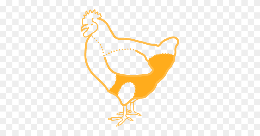 318x379 Chicken Thighs Transavia - Chicken Drumstick Clipart