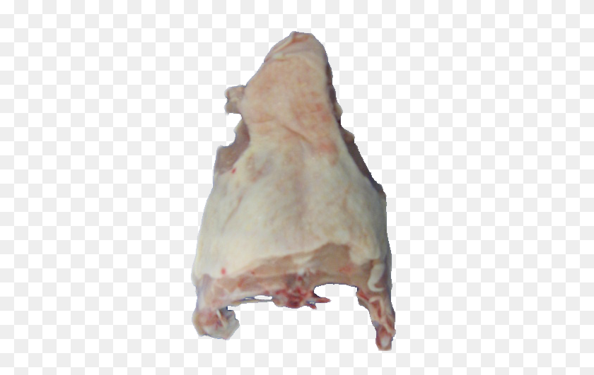 353x471 Pollo De La Parte Superior De La Espalda - Concha Png