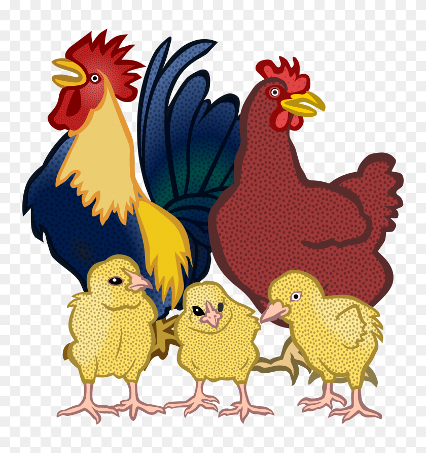 2250x2400 Chickens - Chickens PNG