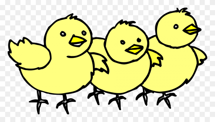 960x517 Chicks Clipart Clip Art Images - Feed Clipart