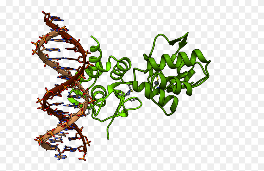 2000x1243 Chimera Render Of Protein From Pdb - Chimera PNG