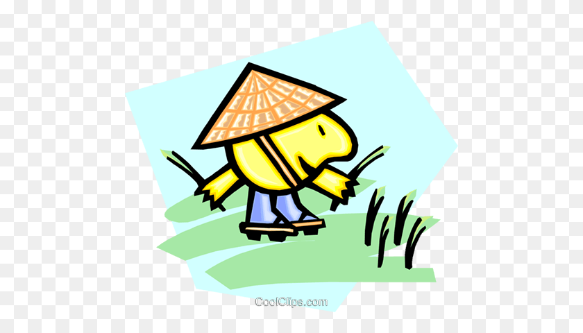 480x420 Chinese Rice Picker Royalty Free Vector Clip Art Illustration - Rice Clipart