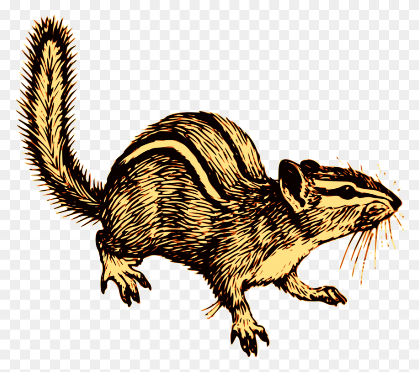 853x750 Chipmunk Squirrel Download Image Resolution - Chipmunk Clipart