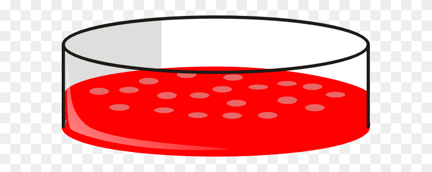 600x275 Cho Cell Petri Dish Clip Art - Petri Dish Clip Art