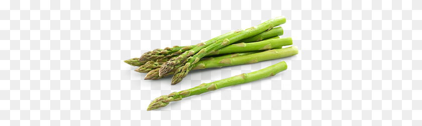 348x192 Choose Ellips Vegetable Sorting Software For Grading Asparagus - Asparagus PNG