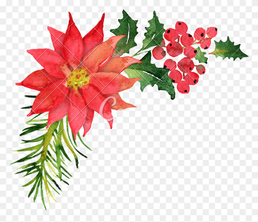 800x679 Ramo De Navidad Con Poinsettia - Poinsettia Png