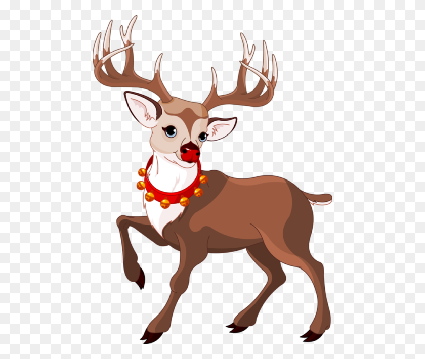 474x650 Christmas Deer Clipart Nice Coloring Pages For Kids - Christmas Deer Clipart