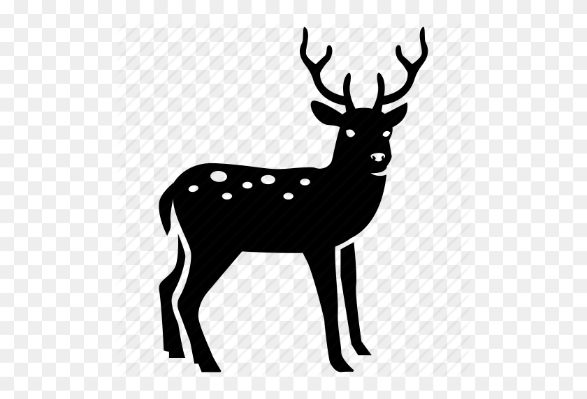 512x512 Christmas, Deer, Hunting, Reindeer, Rudolph, Stag, Venison Icon - Reindeer Black And White Clipart