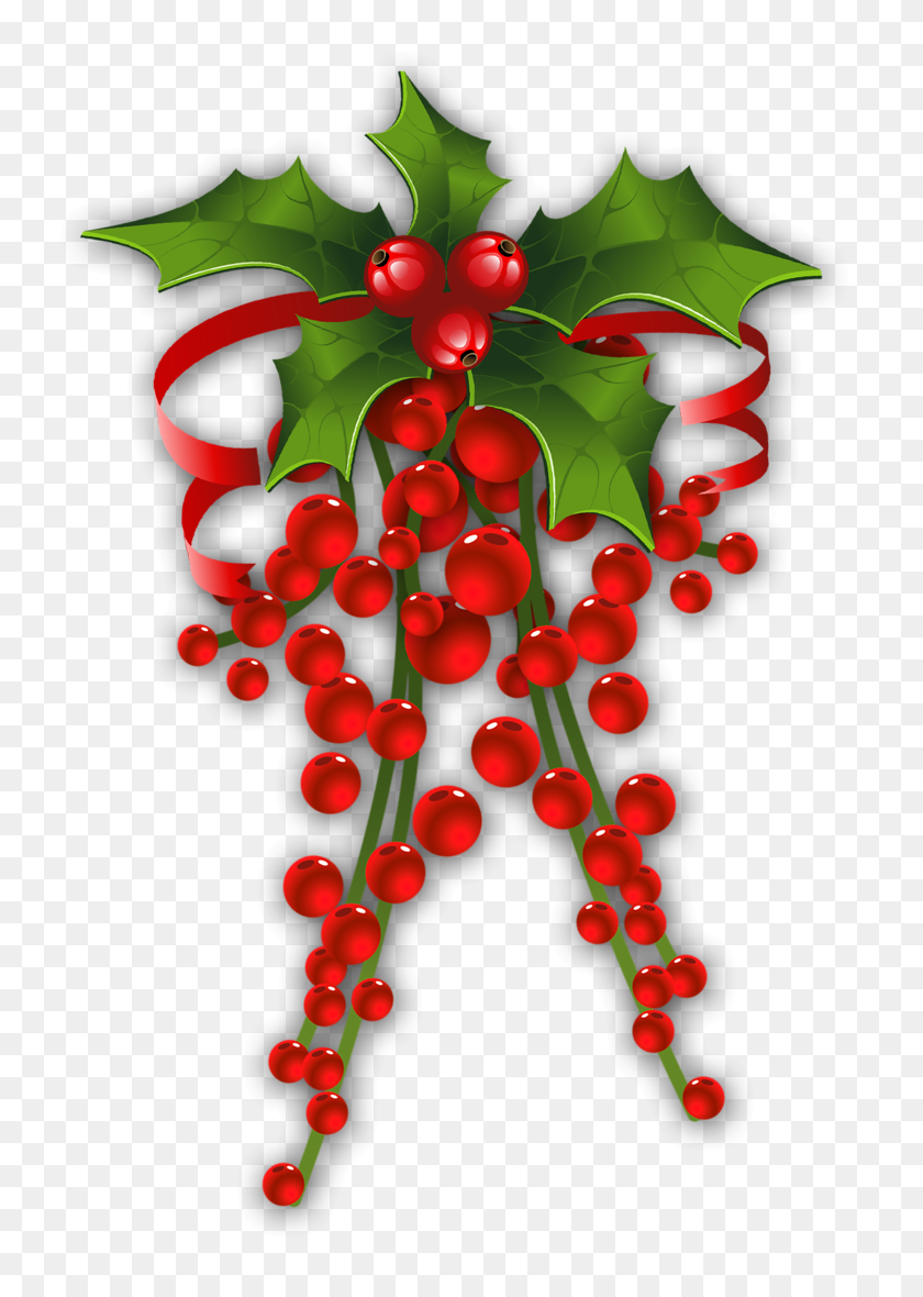 752x1120 Christmas Holly - Mistletoe Clipart PNG