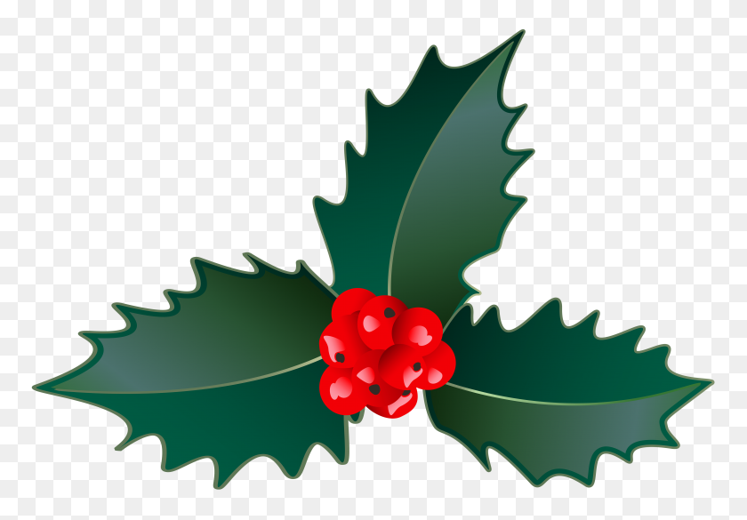 6000x4044 Christmas Holly Clip - Holly Clipart Transparent Background
