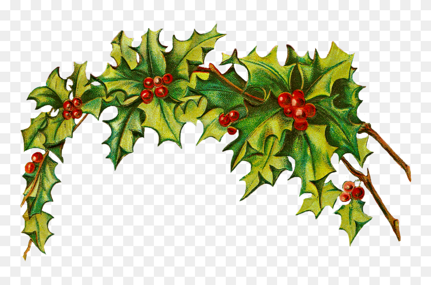 1648x1048 Christmas Holly Clip Art Free Clipart Collection - Best Free Clipart Sites