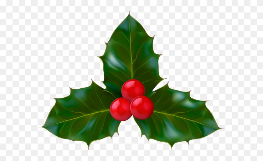 600x456 Christmas Holly Clipart Png - Copo De Nieve De Navidad Clipart