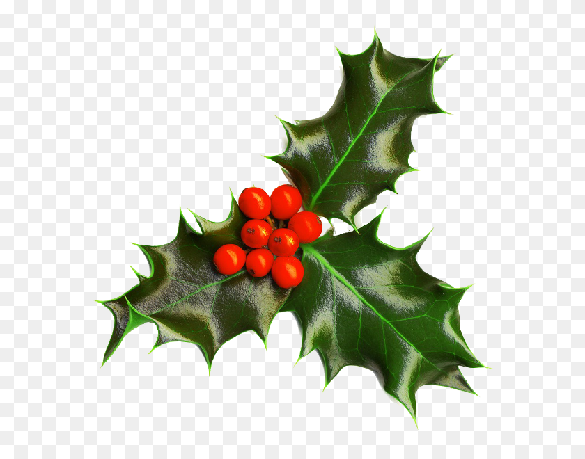 600x600 Christmas Holly Clipart To Free Download Christmas - Christmas Holly Clipart