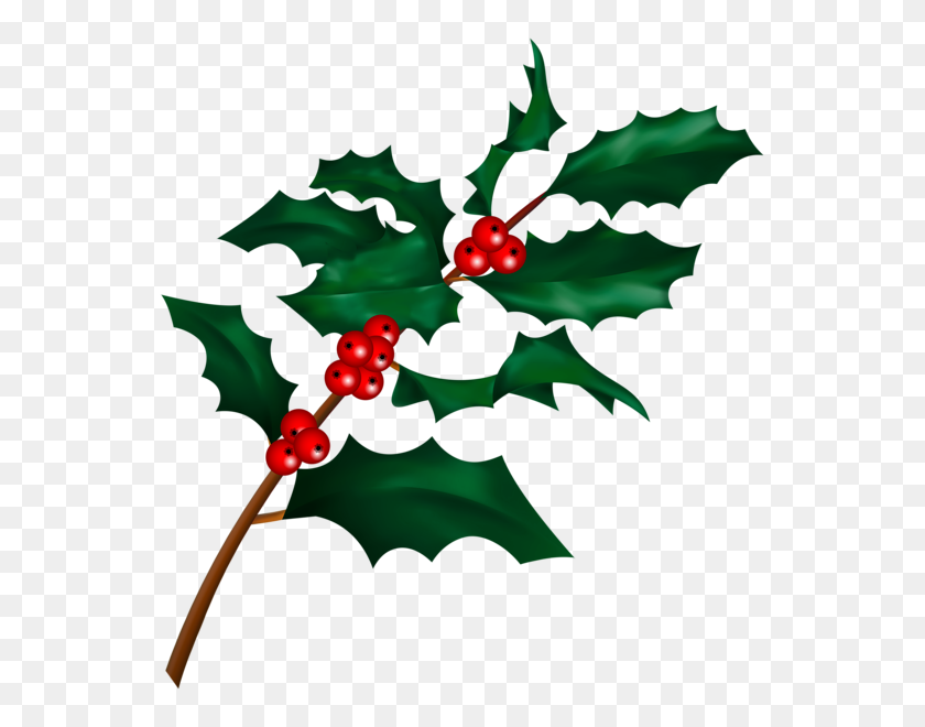 557x600 Christmas Holly Mistletoe Branch Clip - Mistletoe Clipart Black And White