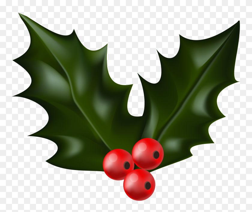 6000x4982 Christmas Holly Mistletoe Png Clip - Mistletoe Clipart PNG