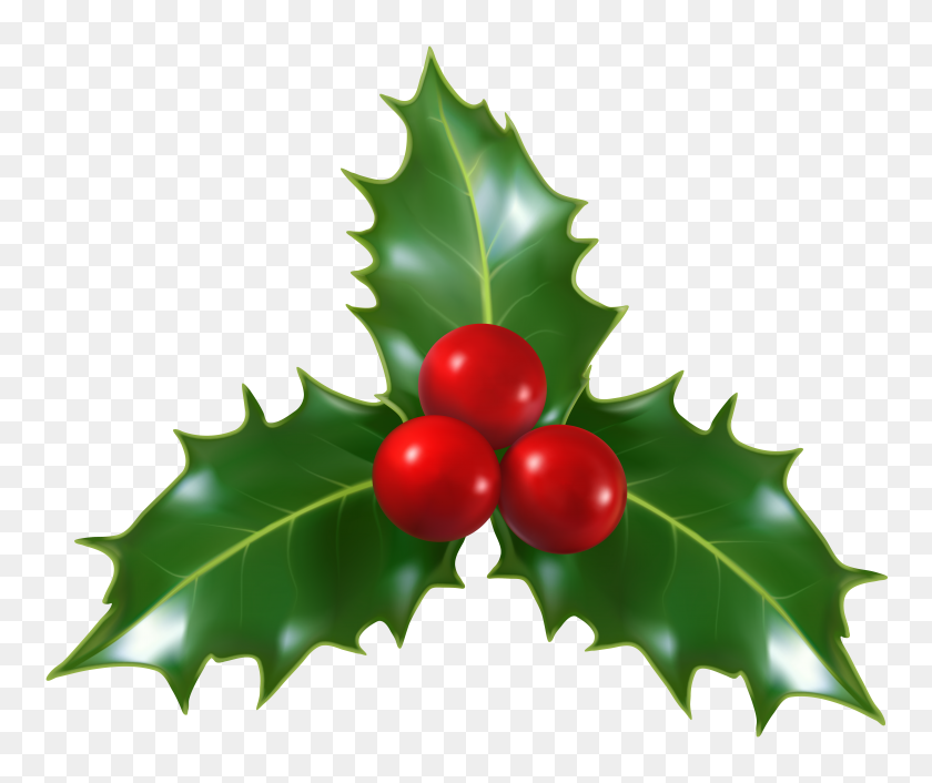 6313x5231 Christmas Holly Mistletoe Png Clip Art Gallery - Real Tree Clipart