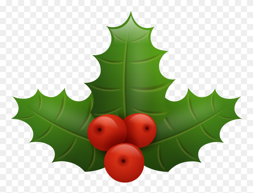 8000x5984 Christmas Holly Png Clipart - Christmas Vector Clipart