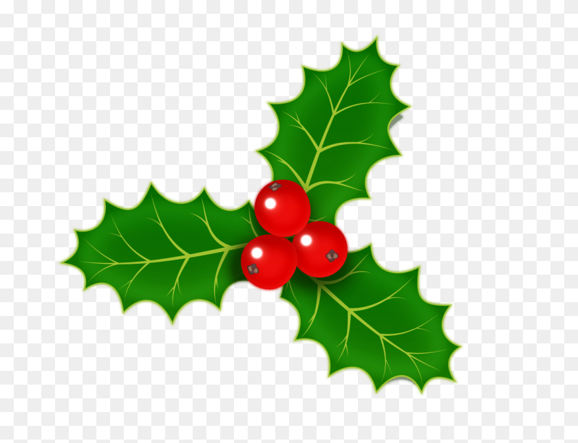 1280x960 Christmas Holly Png Images Free Download - Holly PNG