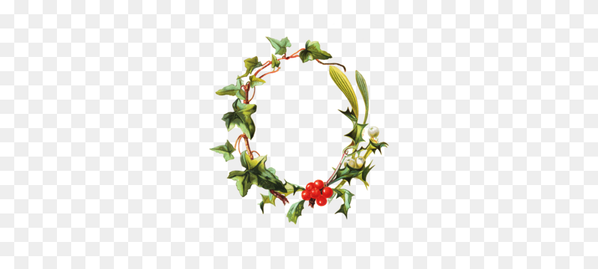 260x318 Christmas Ivy Borders Clipart - Ivy Wreath Clipart