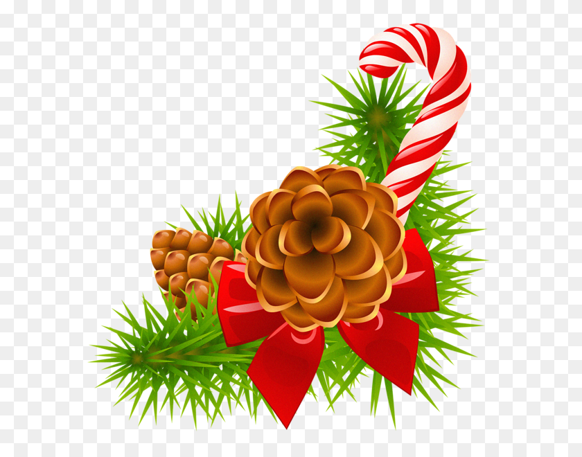 597x600 Rama De Pino De Navidad Con Conos Y Decoración De Bastón De Caramelo Vacaciones - Imágenes Prediseñadas De Rama De Pino