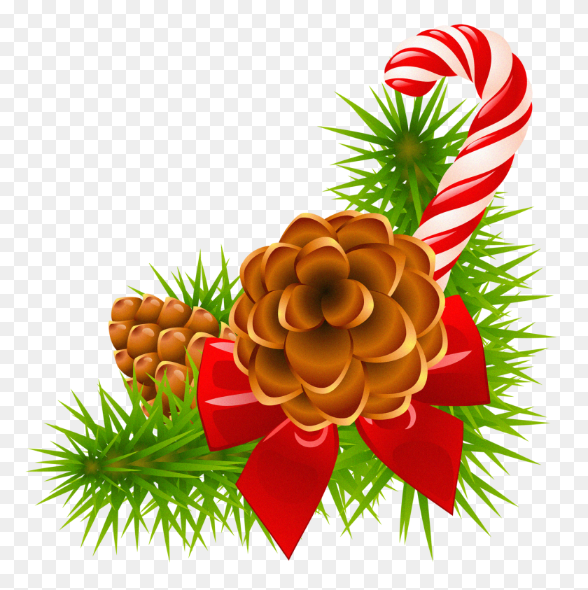 1388x1394 Christmas Pine Branch With Cones And Candy Cane Gallery - Pine Branch PNG