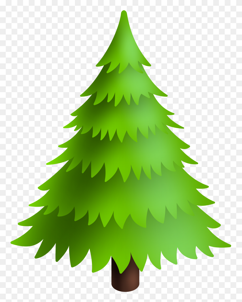 6304x8000 Christmas Pine Tree Green Clip Art - Pine PNG