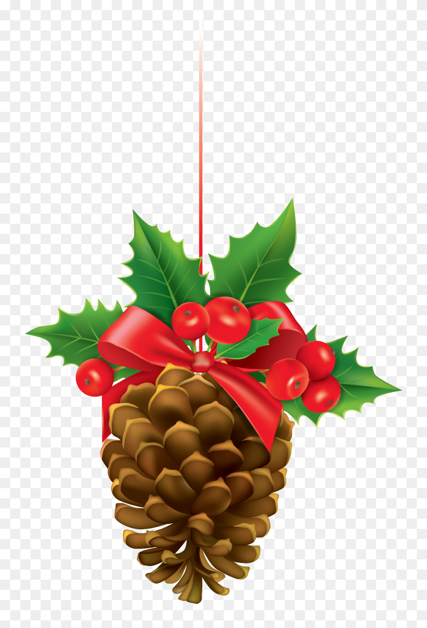 2672x4026 Christmas Pinecone With Mistletoe Png Clipart Gallery - Pine Cone PNG