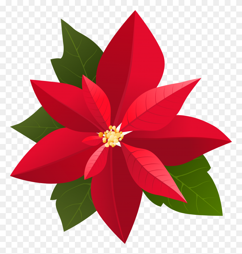 7586x8000 Christmas Poinsettia Png Clip - Poinsettia PNG