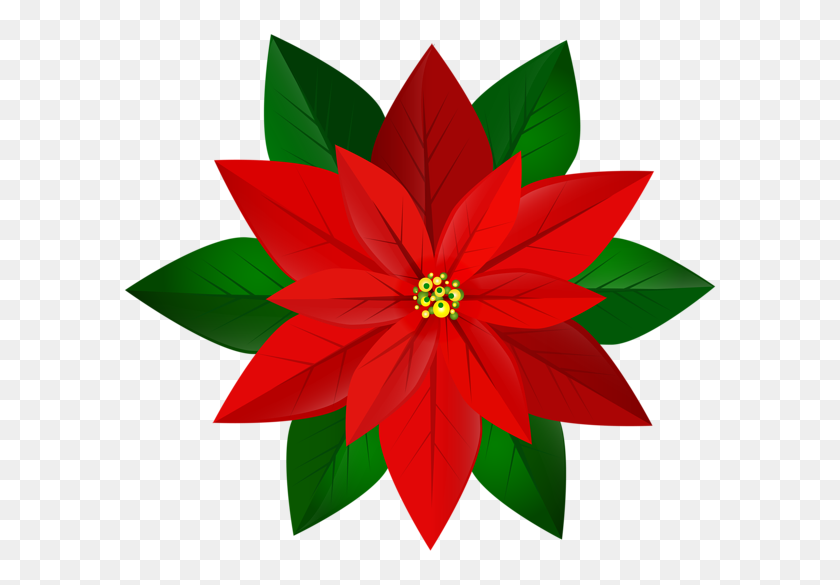 600x525 Christmas Red Poinsettia Png Clip Art Gallery - Poinsettia Clip Art Free