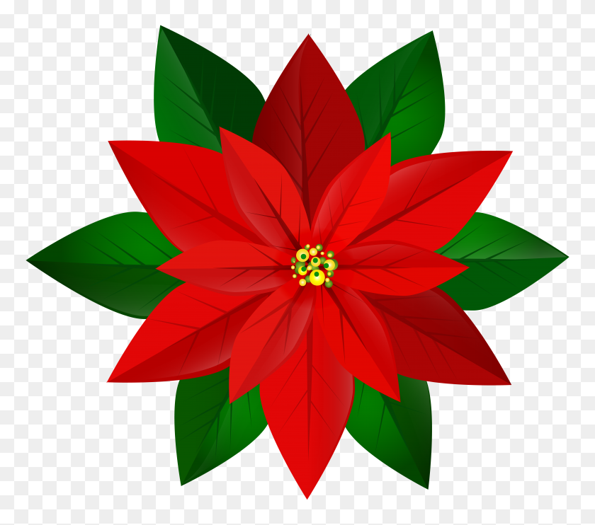 8000x7003 Christmas Red Poinsettia Png Clip Art Gallery - Red Flower Clipart