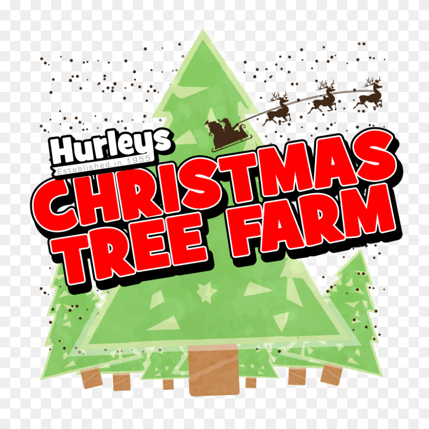 800x800 Christmas Tree Farm, Battlesbridge - Tree From Above PNG