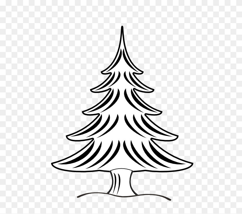 555x681 Christmas Tree Outline Drawing Hd Wallpaper And Download Free - Christmas Tree Outline Clipart