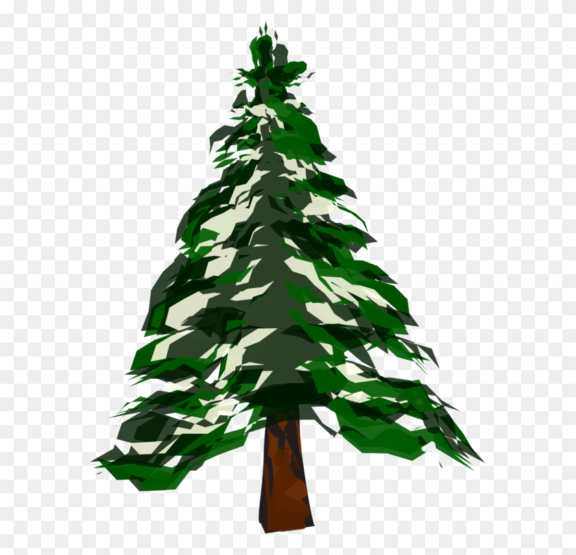 579x750 Christmas Tree Pine Art Winter - Pine Branch Clipart